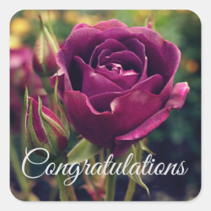 Congratulations Burgundy Iceberg Rose #1 Stickers