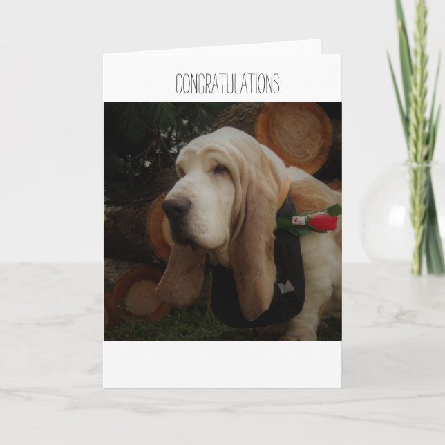 Congratulations card (Front)