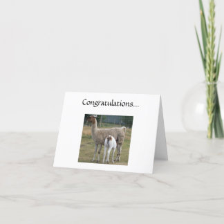 Congratulations... Card