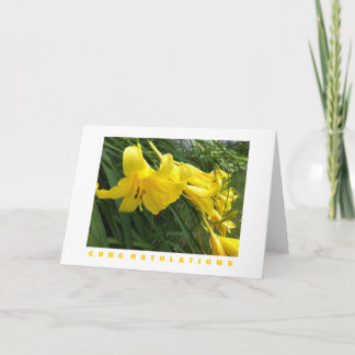 Congratulations Card: Daylilies, Yellow Card