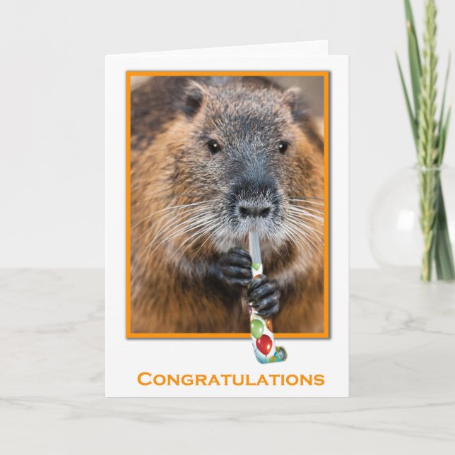 Congratulations card of beaver with flute (Front)