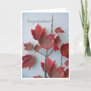 Congratulations Card With Autumn Maple Leaves