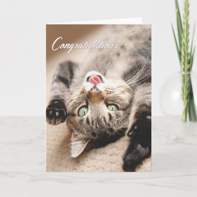 Congratulations Card with Happy Tabby Kitten (Front)