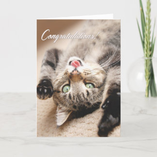 Congratulations Card with Happy Tabby Kitten
