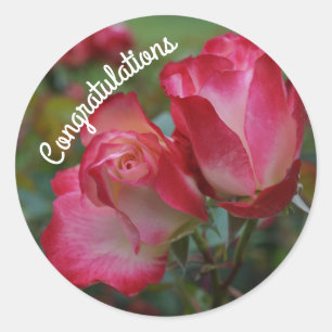 Congratulations Cherry Parfait #4 Stickers