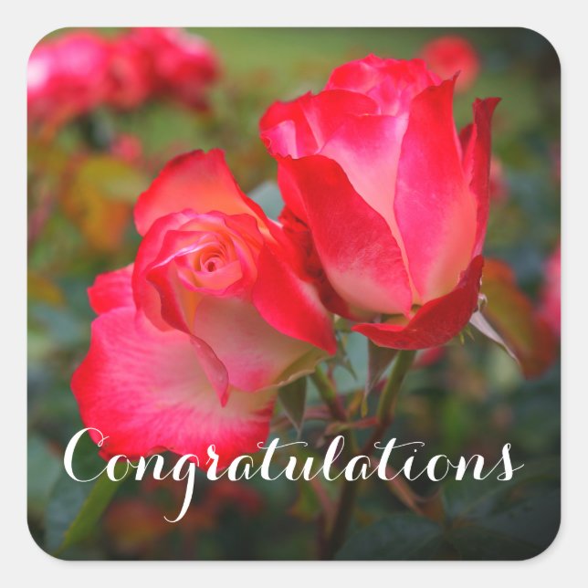 Congratulations Cherry Parfait Rose #4-3 Stickers (Front)