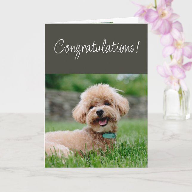 Congratulations Couldn't Be Happier for You! Card (Orchid)
