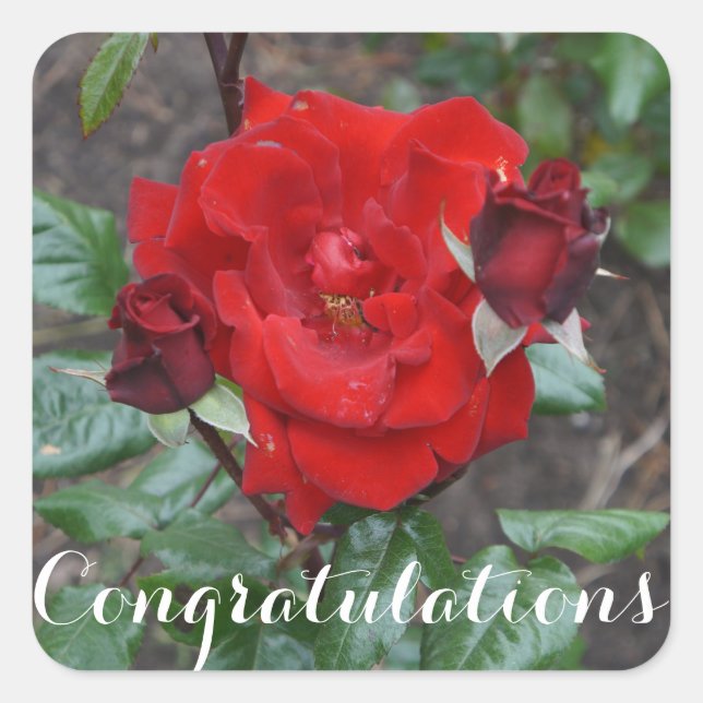 Congratulations  Crimson Bouquet #1 Stickers (Front)