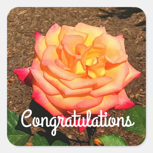 Congratulations Dream Come True Rose #3 Stickers (Front)
