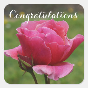 Congratulations Duet Rose #1-2 Stickers