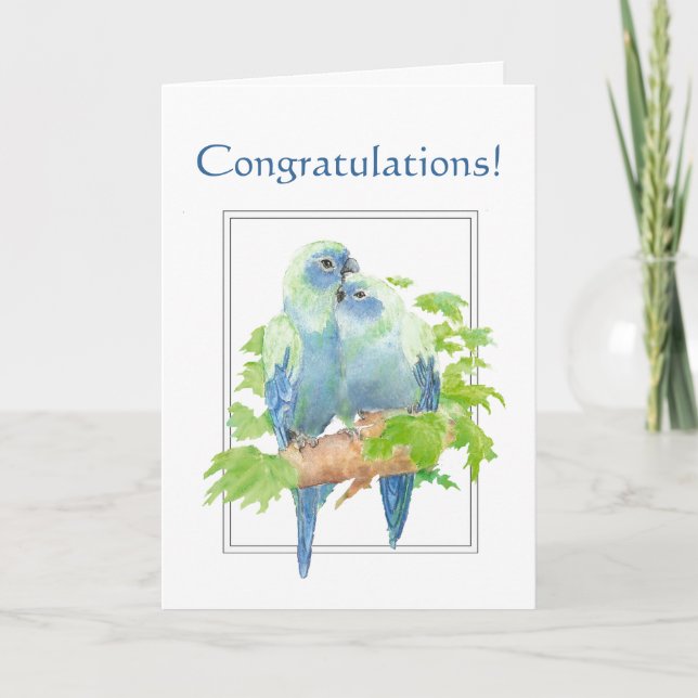 Congratulations for Couple with Cute Parrot Card (Front)