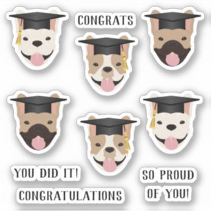 Congratulations French Bulldogs