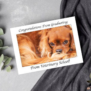 Congratulations From Graduating From Vet School Card