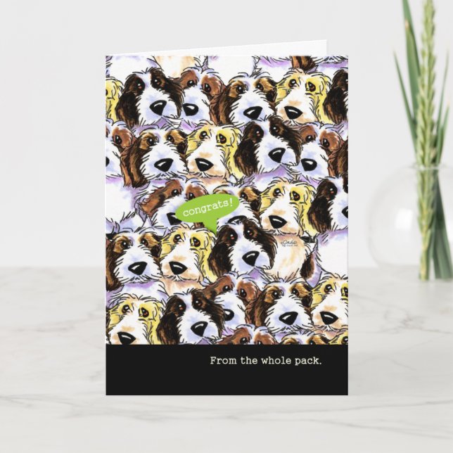 Congratulations from Group Funny PBGV Dogs Card (Front)