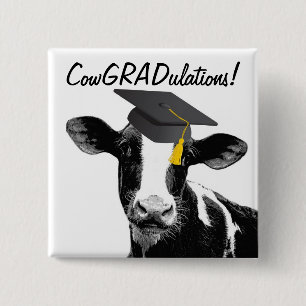 Congratulations Graduation Funny Cow in Cap 15 Cm Square Badge