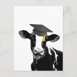Congratulations Graduation Funny Cow in Cap Postcard