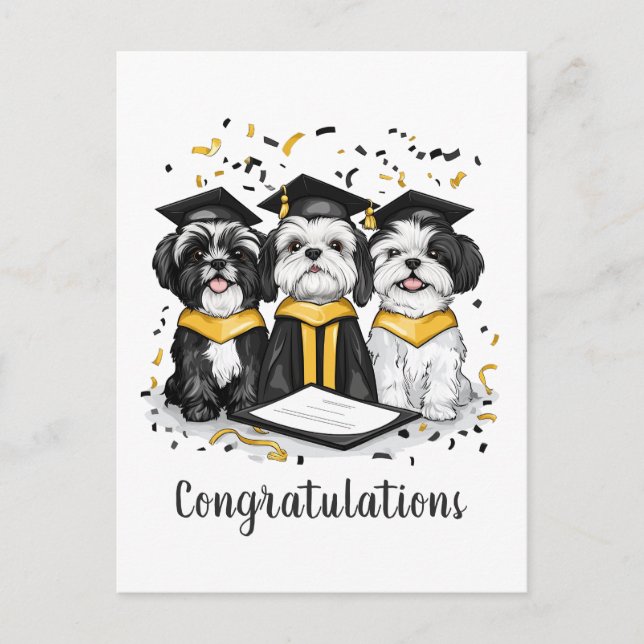 Congratulations Graduation Shih Tzu Dogs Postcard (Front)