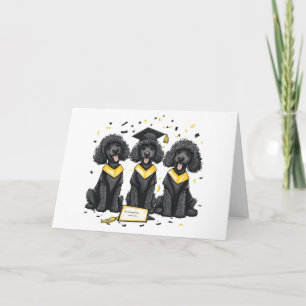 Congratulations Graduation Standard Poodle Dogs Card