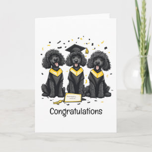 Congratulations Graduation Standard Poodle Dogs Card