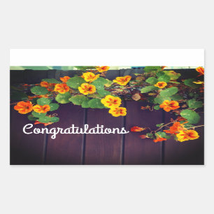 Congratulations Nasturtium Stickers