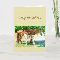 Congratulations New Addition Baby Horse Foal