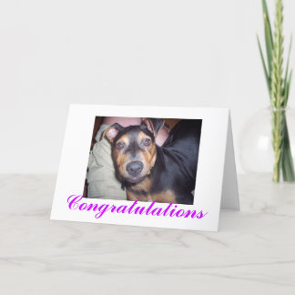 Congratulations New Dog Card