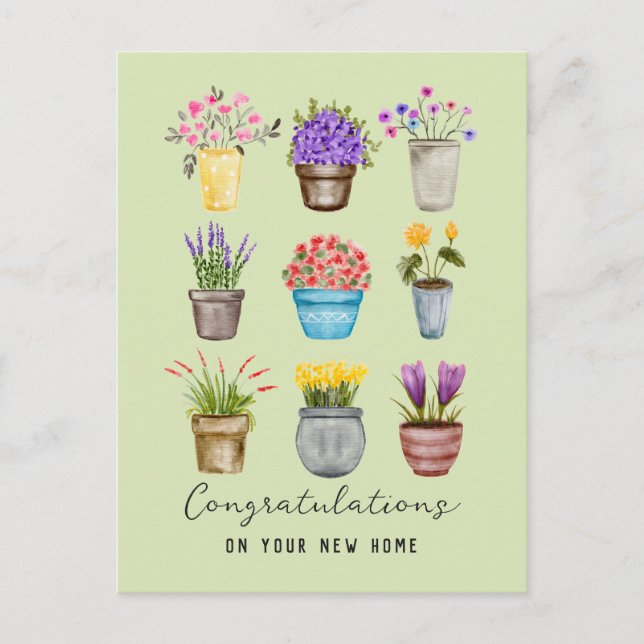 Congratulations New Home Cute Potted Flower Plants Postcard (Front)