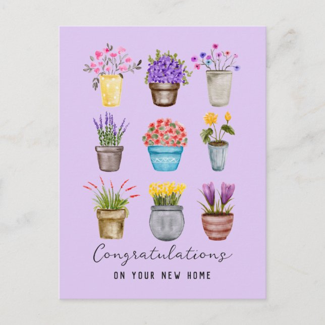 Congratulations New Home Stylish Potted Flowers Postcard (Front)