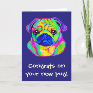 Congratulations New Pug in Colours Card