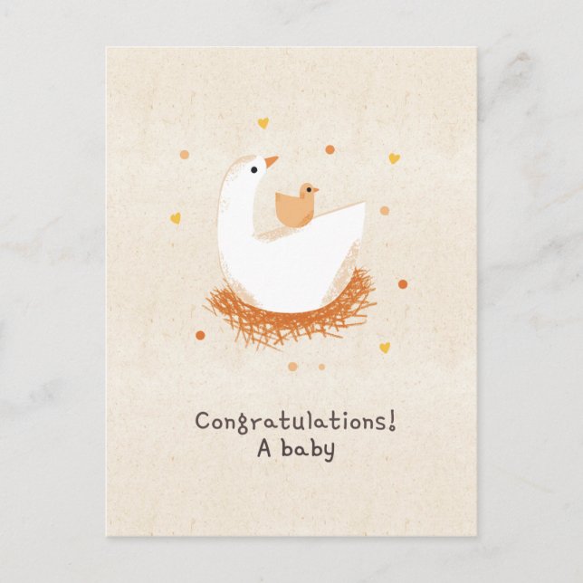 Congratulations on a baby chick postcard (Front)