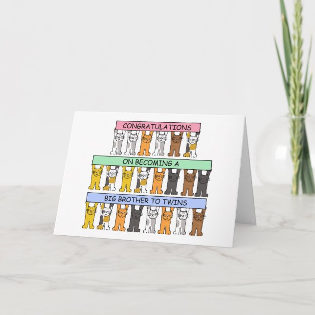 Congratulations on Becoming a Big Brother to Twins Card (Front)