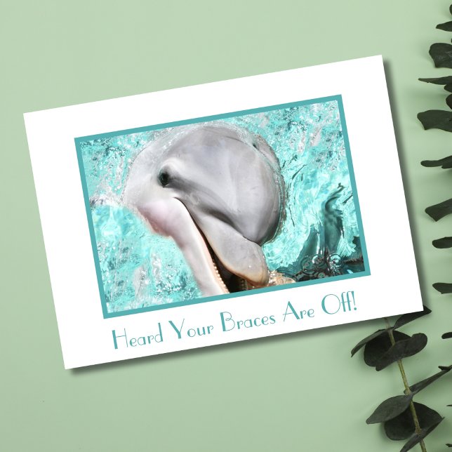 Congratulations on Braces Coming Off Dolphin Card (Creator Uploaded)