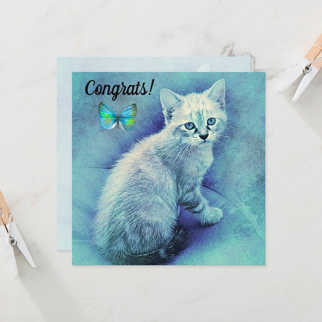 Congratulations on New Pet Cat Card (Creator Uploaded)