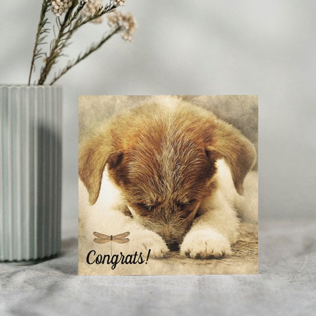 Congratulations on New Pet Dog Card (Creator Uploaded)