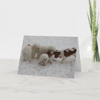 Congratulations on the New Job Card