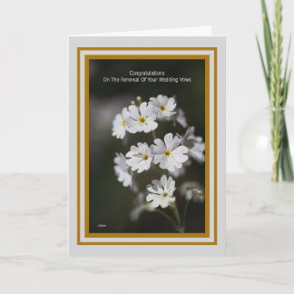 Congratulations On The Renewal Of Your Wedding Vow Card