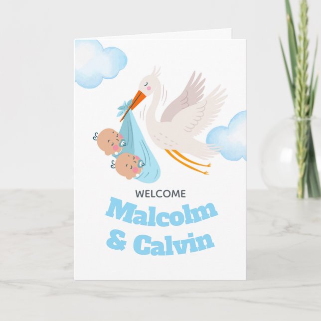 Congratulations on Twin Boys Stork Bundle Card (Front)