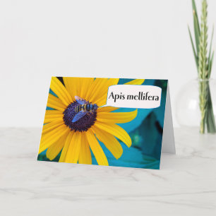 Congratulations on Winning Spelling Bee Card