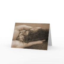 Congratulations on your adoption!