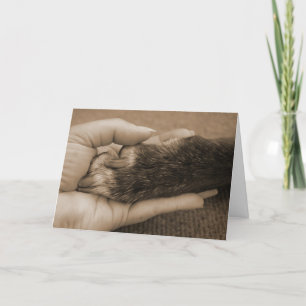 Congratulations on your adoption! card