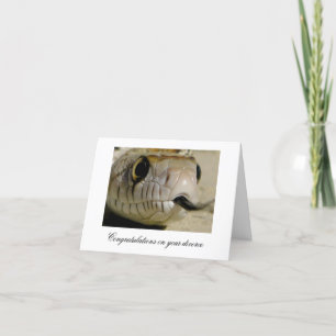 Congratulations on your divorce ... card