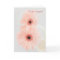 Congratulations on your engagement. Pink gerbera