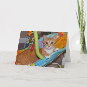 Congratulations on your new addition card