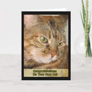 Congratulations on your New Cat Card