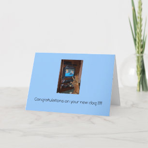 Congratulations on your new dog!! card