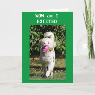 CONGRATULATIONS ON YOUR **NEW HOME** CARD