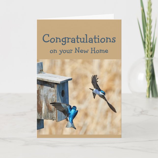 Congratulations on Your New Home Fun Birds Card (Front)