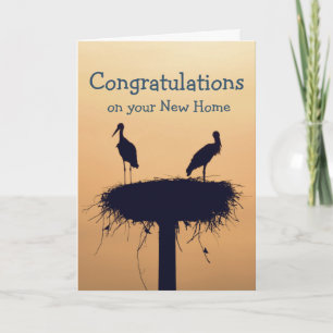Congratulations on Your New Home Fun Birds Card