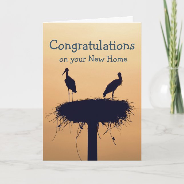 Congratulations on Your New Home Fun Birds Card (Front)