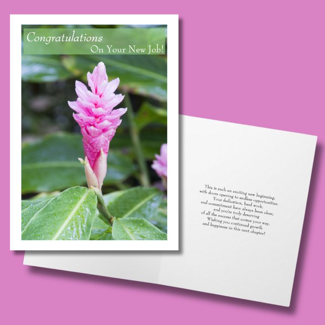 Congratulations On Your New Job Pink Ginger Flower Card (Creator Uploaded)